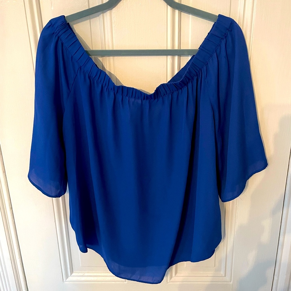 Sheer Blue Blouse